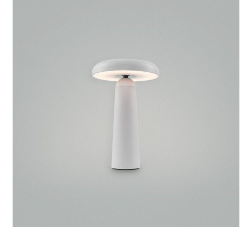 Настольная лампа декоративная Freya Mushroom FR6109TL-L4W