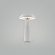 Настольная лампа декоративная Freya Mushroom FR6109TL-L4W
