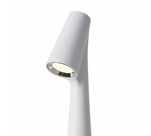 Настольная лампа декоративная Freya Clam FR6188TL-L3W