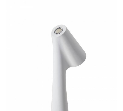 Настольная лампа декоративная Freya Clam FR6188TL-L3W