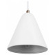 Подвесной светильник Freya Falke FR8001PL-01WG