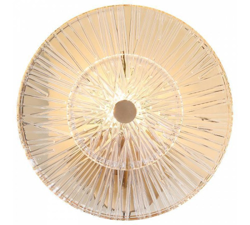 Накладной светильник Maytoni Aster MOD007WL-01G