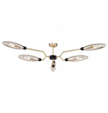 Накладной светильник Maytoni Ventura MOD012CL-06G