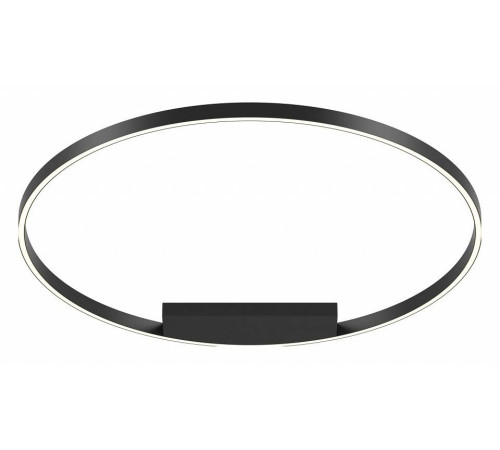 Накладной светильник Maytoni Rim MOD058CL-L65BK