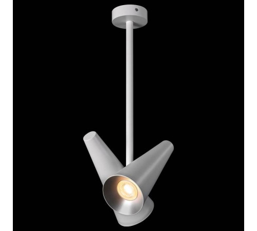 Светильник на штанге Maytoni Giro MOD095CL-02W