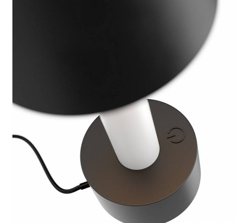 Настольная лампа декоративная Maytoni Tet-a-tet MOD104TL-3AB3K