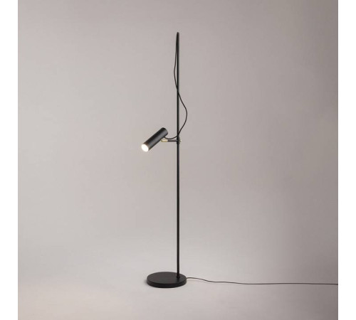 Торшер Maytoni Bansky MOD129FL-01B