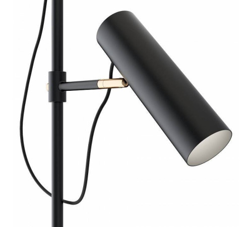 Торшер Maytoni Bansky MOD129FL-01B