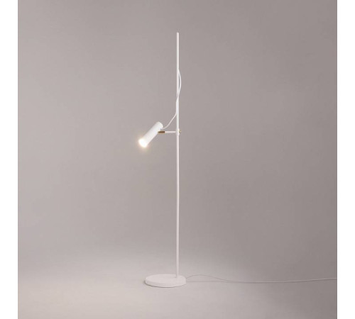 Торшер Maytoni Bansky MOD129FL-01W