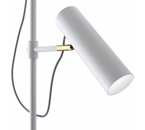 Торшер Maytoni Bansky MOD129FL-01W