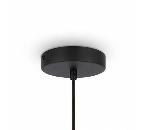 Подвесной светильник Maytoni Roots MOD197PL-01W