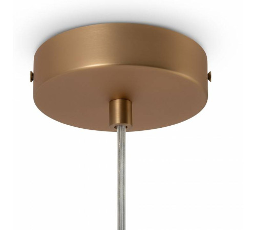 Подвесной светильник Maytoni Basic form MOD321PL-01G1