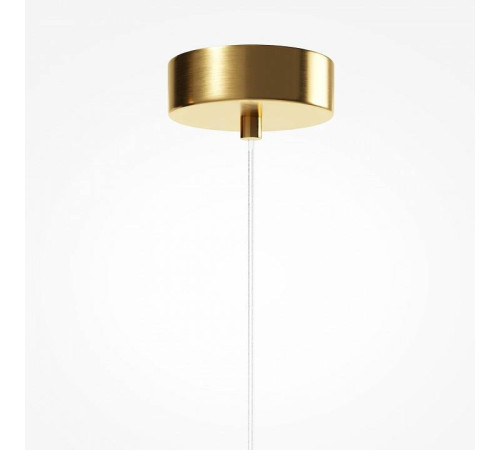 Подвесной светильник Maytoni Biology MOD367PL-L3BSK