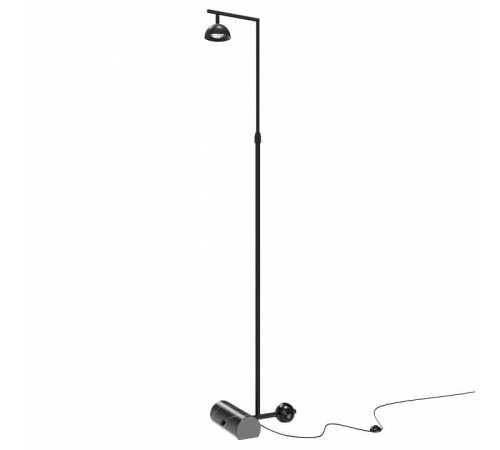 Торшер Maytoni Pikant MOD372FL-L10B3K