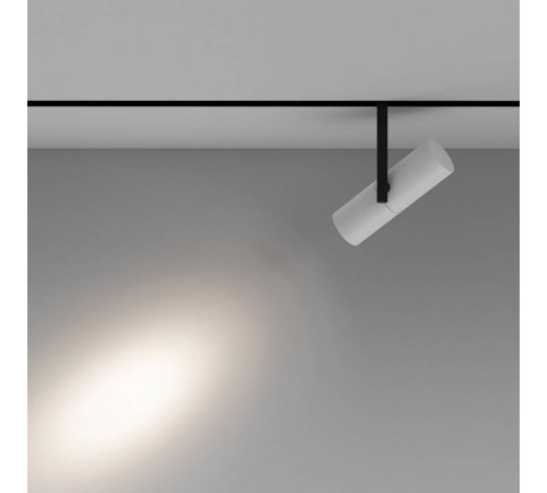 Светильник на штанге Maytoni Elti TR005-4-12W-DS-BW