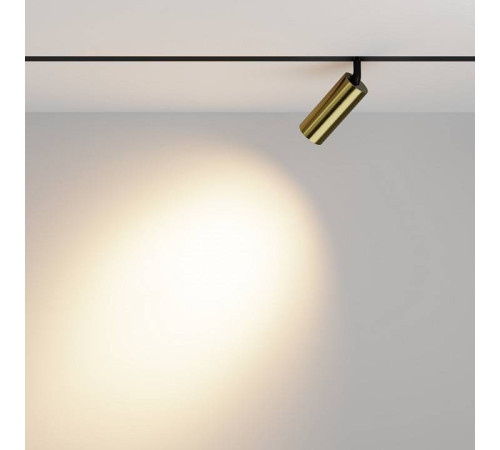 Светильник на штанге Maytoni Focus LED TR032-2-12W3K-M-BBS