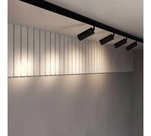 Трековый светодиодный светильник Maytoni Focus LED TR032-2-20W3K-S-B