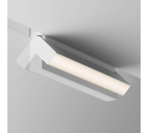 Накладной светильник Maytoni Basis Rot TR075-2-20W3K-W