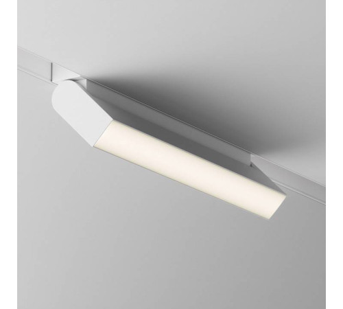 Накладной светильник Maytoni Basis Rot TR075-2-20W3K-W