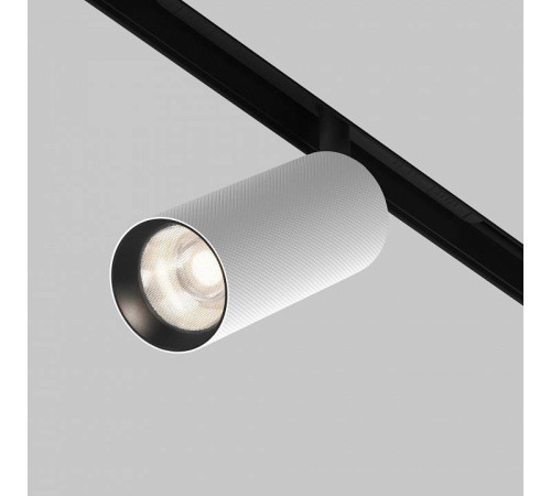 Светильник на штанге Maytoni Artisan TR097-2-12W4K-M-BW