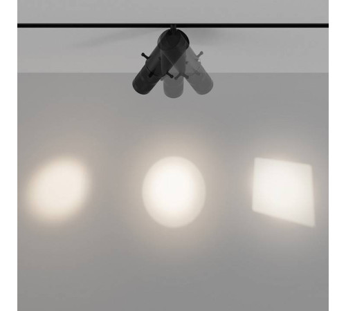 Светильник на штанге Maytoni Gala TR108-2-10W3K-B