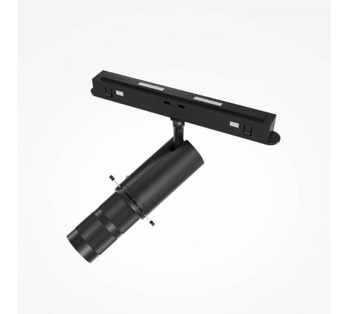 Светильник на штанге Maytoni Gala TR108-2-10W3K-B