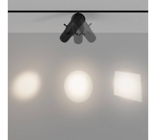 Светильник на штанге Maytoni Gala TR108-2-10W4K-B