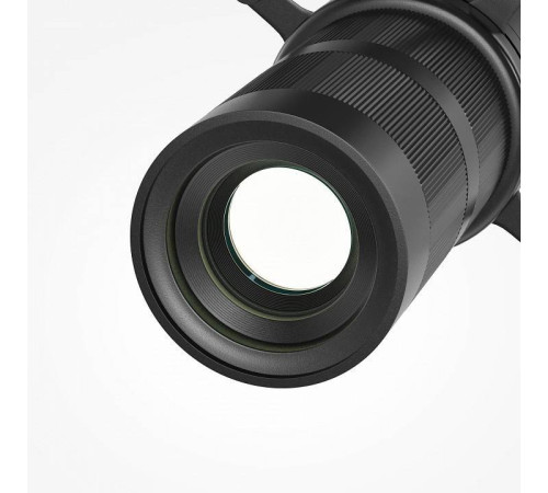 Светильник на штанге Maytoni Gala TR108-2-10W4K-B