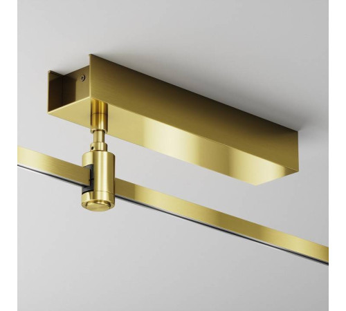 Подвес для трека Maytoni Accessories for tracks Flarity TRA156С-BB1-BS