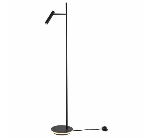 Торшер Maytoni Estudo Z010FL-L8B3K