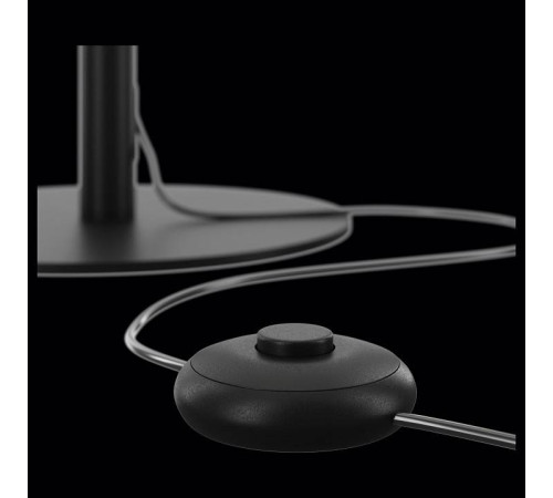 Торшер Maytoni Ray Z012FL-L18B3K