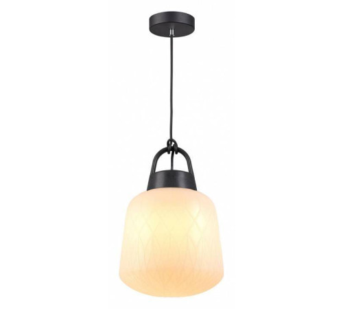 Подвесной светильник Novotech Conte 370601