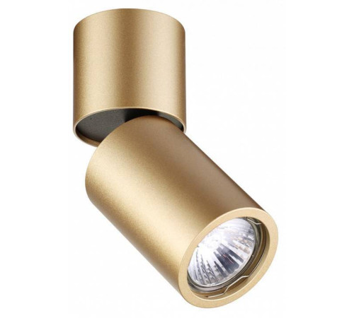 Накладной светильник Odeon Light Duetta 3895/1C