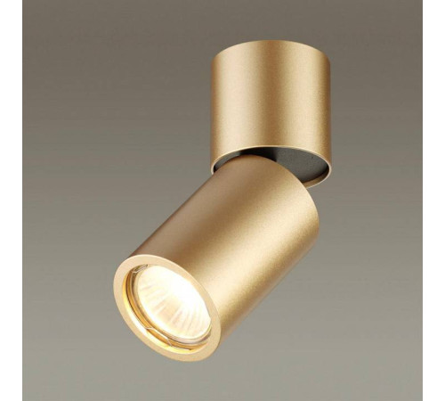 Накладной светильник Odeon Light Duetta 3895/1C