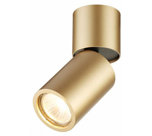 Накладной светильник Odeon Light Duetta 3895/1C