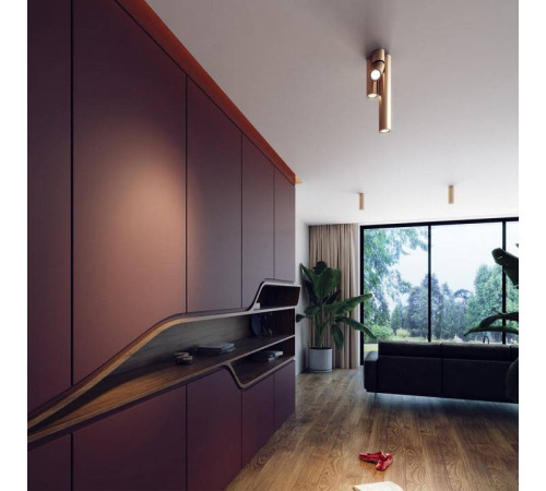 Накладной светильник Odeon Light Duetta 3895/1C