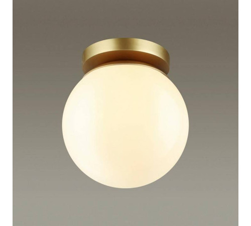 Накладной светильник Odeon Light Bosco 4247/1C