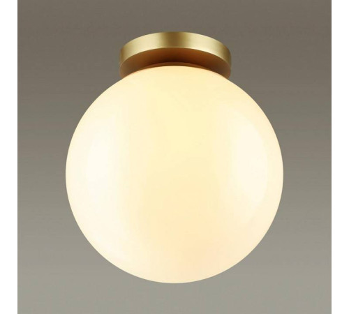 Накладной светильник Odeon Light Bosco 4248/1C