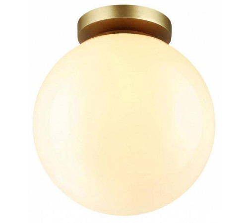 Накладной светильник Odeon Light Bosco 4248/1C