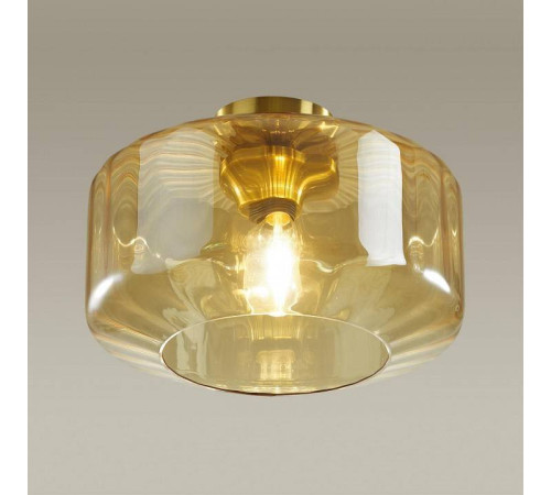 Накладной светильник Odeon Light Binga 4747/1C