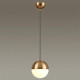 Подвесной светильник Odeon Light Pinga 4960/1