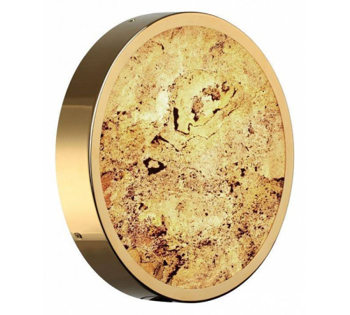 Накладной светильник Odeon Light Bergi 5079/24L