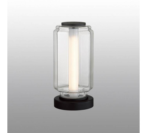 Настольная лампа декоративная Odeon Light Jam 5409/10TL