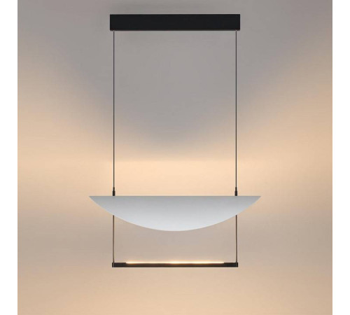 Подвесной светильник Odeon Light Next 7015/20L