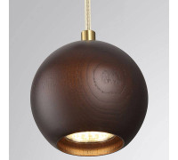 Подвесной светильник Odeon Light Caucho 7062/1