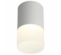 Накладной светильник Omnilux Ercolano OML-100009-05