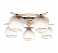 Потолочная люстра Omnilux Fronteira OML-50517-05