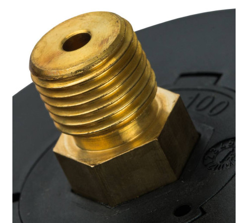 Манометр аксиальный Watts F+R100 63 мм 1/4 0-6 бар 10008095