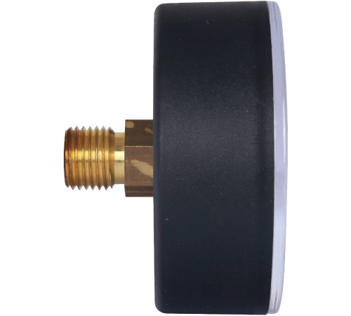 Манометр аксиальный Watts F+R100 63 мм 1/4 0-10 бар 10008096