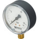 Манометр радиальный Watts F+R200 63 мм 16 бар 1/4 10007725